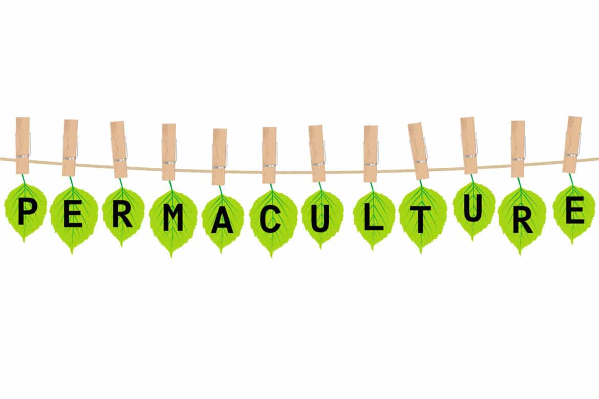 Top X des livres sur la permaculture