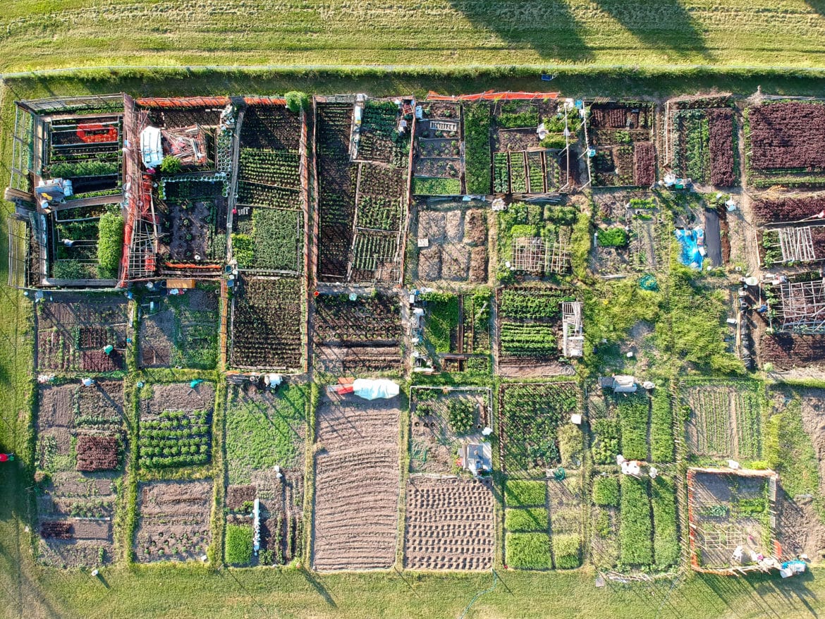 ferme urbaine ferme urbaine