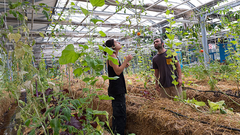 Agronaute ferme urbaine à Nantes