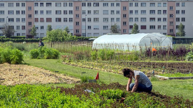 ferme urbaine saint denis